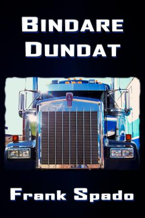 Cover of the book Bindare Dundat by Allen Frantzen