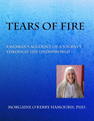 Cover of the book Tears of Fire by Thomas Knauff