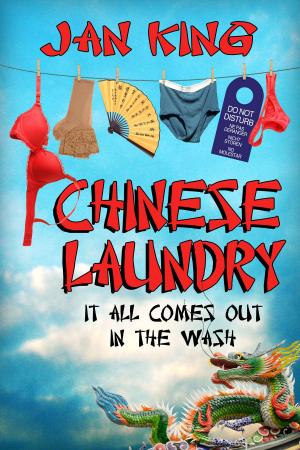 Cover of the book Chinese Laundry by B.C. Tweedt