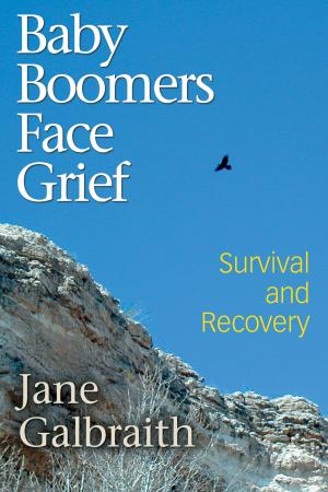 Book cover of Baby Boomers Face Grief - Survival and Recovery