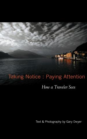 Cover of the book Taking Notice : Paying Attention by Brad McMurrey