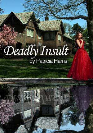 Cover of the book Deadly Insult by Mizeta Moon