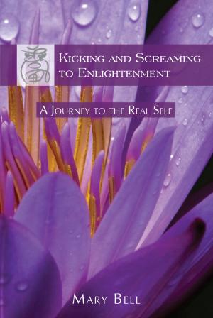 bigCover of the book Kicking and Screaming to Enlightenment, A Journey to the Real Self by 