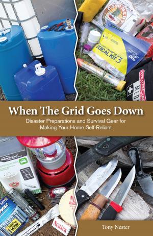 Cover of the book When The Grid Goes Down by Jabulani A. Nzilane