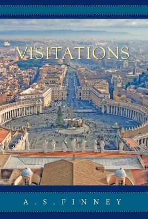 Cover of the book Visitations by Kerri J. Busteed