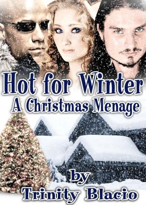 Book cover of Hot For Winter
