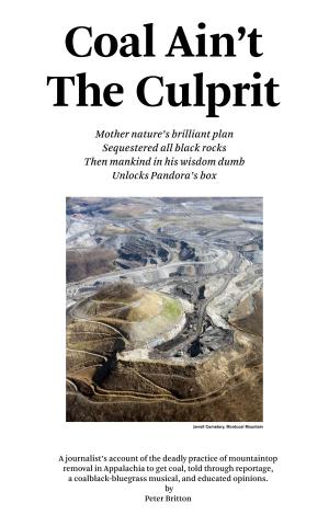 Cover of the book Coal Ain't The Culprit by Beth Elliott