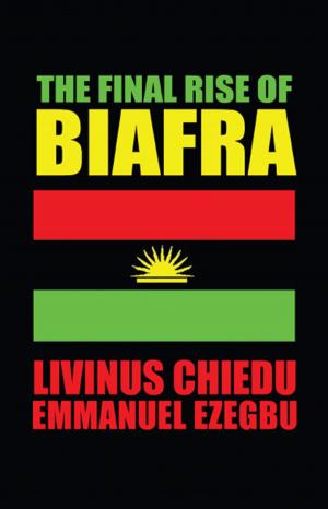 Cover of the book The Final Rise of Biafra by Adrianna M. Childs