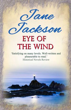 Book cover of Eye of the Wind