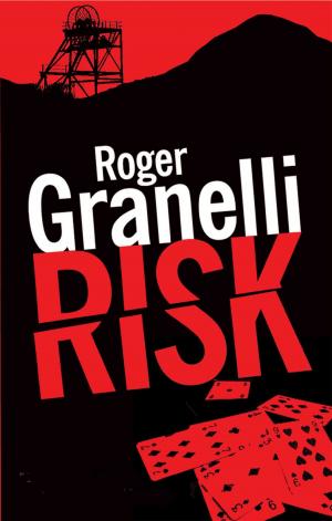Cover of the book Risk by Catrin Collier