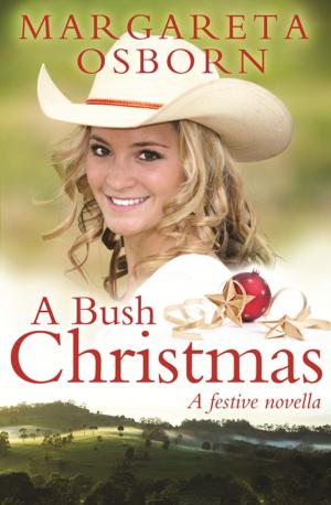 Cover of the book A Bush Christmas by Jeff Apter