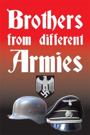 Cover of the book Brothers from Different Armies by Mark Frew