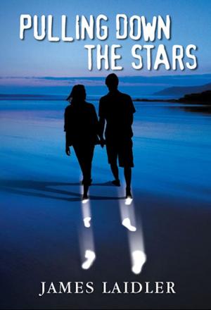 Cover of the book Pulling Down the Stars by Anna Rosner Blay