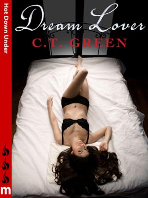 Cover of the book Dream Lover: Hot Down Under by Stefan Stern