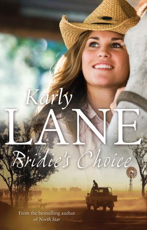 Cover of the book Bridie's Choice by Shamini Flint, Sally Heinrich