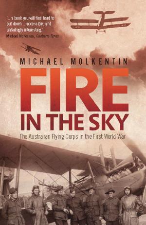 Cover of the book Fire in the Sky by Leigh Hobbs