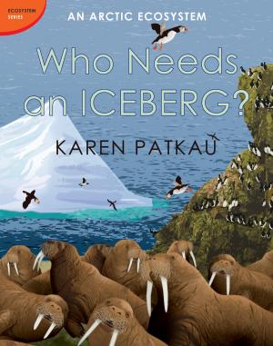 Book cover of Who Needs an Iceberg?