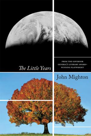 Cover of the book The Little Years by Colleen Murphy