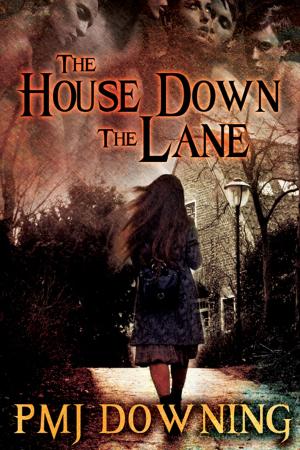 Book cover of The House Down the Lane