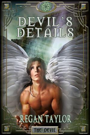 Cover of the book Devil's Details by Paula Calloway