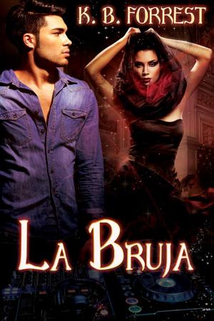 Cover of the book La Bruja by Viola Grace