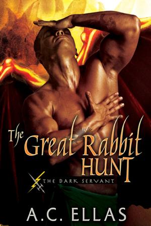 Cover of the book The Great Rabbit Hunt by Charlie Richards