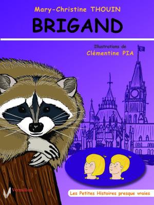 Cover of the book Brigand by Cheryl Arvidson