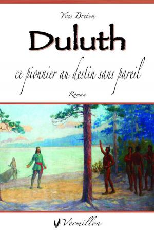 Book cover of Duluth