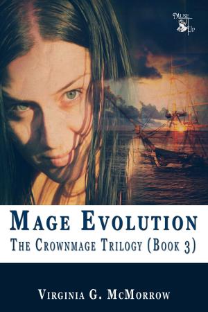 Cover of the book Mage Evolution by John B. Rosenman