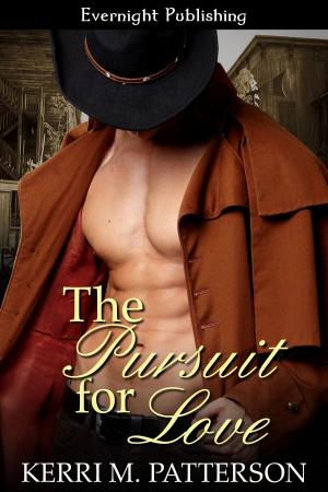 Book cover of The Pursuit for Love