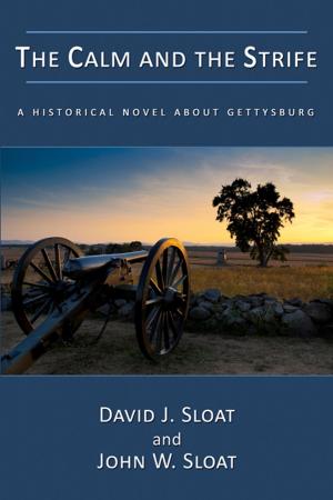 Cover of the book The Calm and the Strife: A Historical Novel About Gettysburg by Philip K Edwards