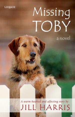 Cover of the book Missing Toby by Rosemary McLeod