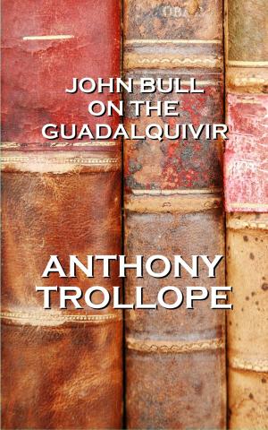 Book cover of John Bull On The Guadalquivir