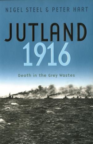 Book cover of Jutland, 1916