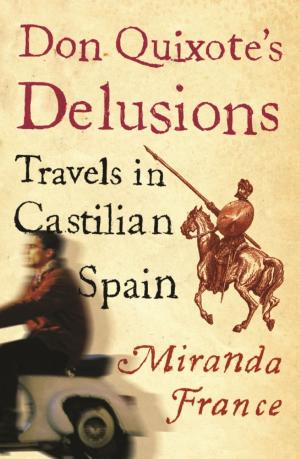 Cover of the book Don Quixote's Delusions by Christian Cameron