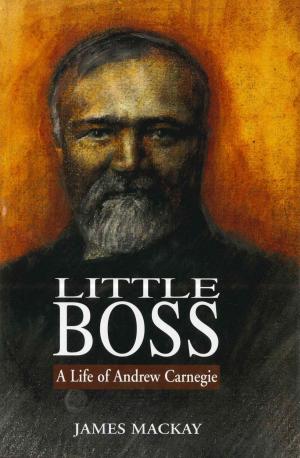 Cover of the book Andrew Carnegie by John Robertson, John Lawson