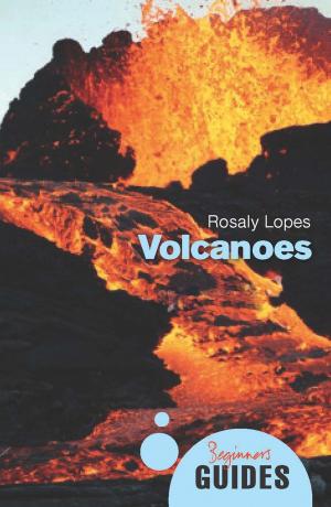 Cover of the book Volcanoes by Olga Grjasnowa