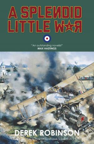 Cover of the book A Splendid Little War by Chris Womersley