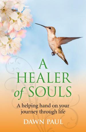 Cover of the book A Healer of Souls by Katie Oman