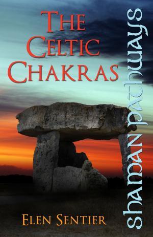 Book cover of Shaman Pathways - The Celtic Chakras