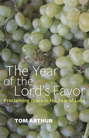 Cover of the book The Year of the Lord's Favor by Terry Biddington