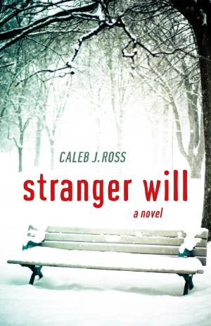Cover of the book Stranger Will by Elen Sentier