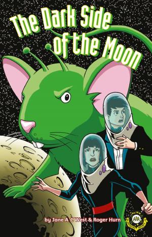 Cover of the book The Dark Side of the Moon by Clare  Lawrence
