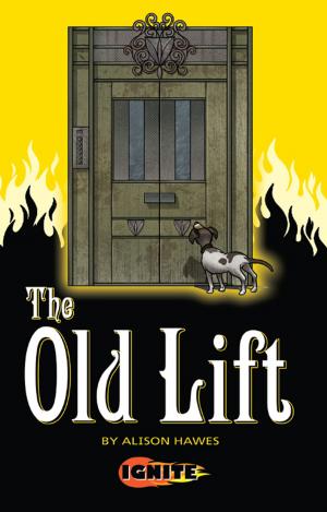 Cover of the book The Old Lift by D. Owen Powell