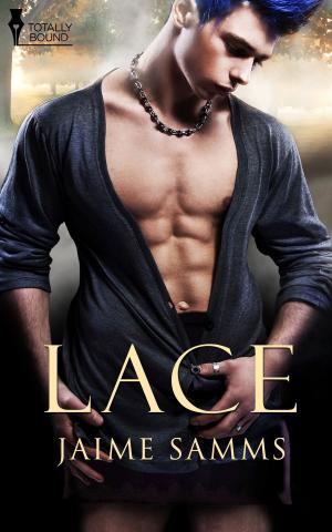 Cover of the book Lace by Kyrian Malone, Jamie Leigh
