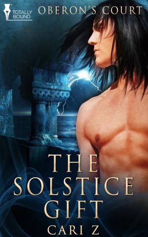 Cover of the book The Solstice Gift by JC Holly