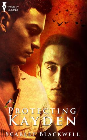 Cover of the book Protecting Kayden by Sage Burnett