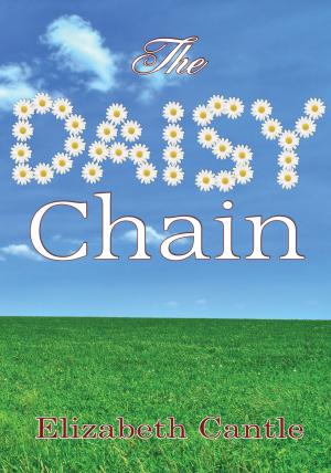 Cover of the book The Daisy Chain by Sue Hampton