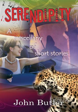 Cover of the book Serendipity by Angela Spence