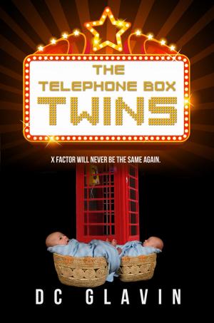 bigCover of the book The Telephone Box Twins by 